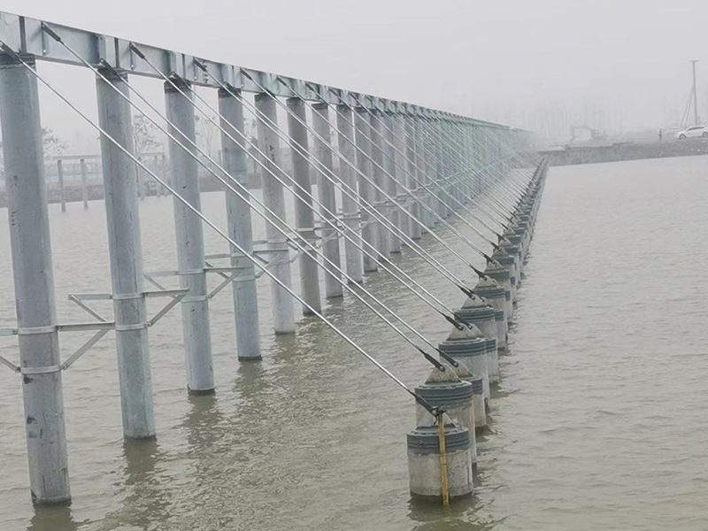 山东午夜极品视频