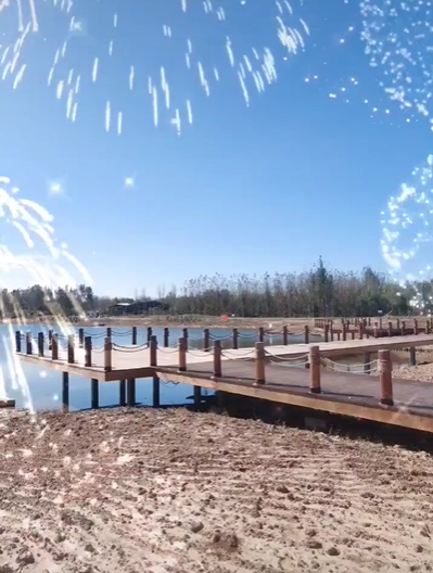 午夜福利理论片在线观看高清